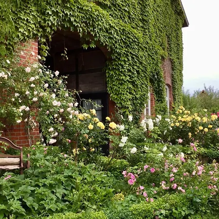 Starenhof Kır Evi *