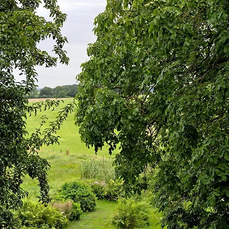 Starenhof *